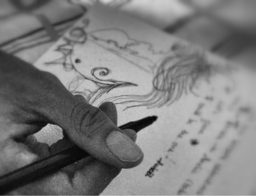 El libro de autor
